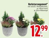Herbstarrangement im Angebot bei EDEKA in Germering Herbstarrangement Angebote bei EDEKA Germering für 12,99 €