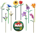 MAX Bausteine-Set Blumenkollektion Angebote von Zuru bei Penny Hamm für 19,99 €