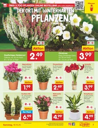 Netto Marken-Discount Christrose im Prospekt Netto Marken-Discount Christrose im Prospekt