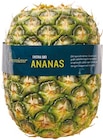 Ananas ohne Krone von Premieur im aktuellen Netto mit dem Scottie Prospekt