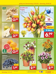 Blumen im Netto Marken-Discount Prospekt "Aktuelle Angebote" mit 60 Seiten (Aachen)