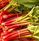 Rhabarber 'Victoria' Angebote bei Hagebaumarkt Paderborn für 7,99 €