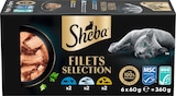 Nassfutter Katze Filets mit Geflügel & Fisch, Multipack (6x60 g) von Sheba im aktuellen dm-drogerie markt Prospekt für 6,45 €