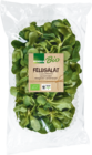Knolles Markt - Feldsalat Angebot im Prospekt Feldsalat bei Knolles Markt im Prospekt "" für 1,49 €