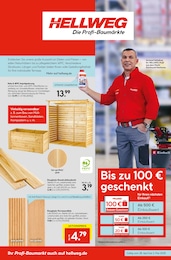 Bretter Angebot & Preis im aktuellen Hellweg Prospekt Bretter Angebot im aktuellen Hellweg Prospekt auf Seite 3