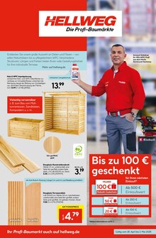 Bretter Angebot im aktuellen Hellweg Prospekt auf Seite 3