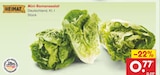 Aktuelle Salat Angebote bei Netto Marken-Discount in Duisburg Aktuelles Mini-Romanasalat Angebot bei Netto Marken-Discount in Duisburg ab 0,77 €