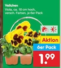 Veilchen Angebote bei Netto Marken-Discount Lutherstadt Wittenberg für 1,99 €
