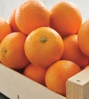 Intermarché Express Vienne - Promo ORANGE A JUS(13) ET/OU A DESSERT Promo ORANGE A JUS(13) ET/OU A DESSERT à 2,99 € dans le catalogue Intermarché Express à Vienne