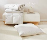 Daunendecke Artic Ocean im Angebot bei Zurbrüggen in Hagen Daunendecke Artic Ocean Angebote von CENTA-STAR bei Zurbrüggen Hagen für 69,99 €