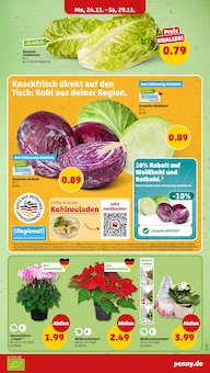 Pflanzen im Penny Prospekt "Wer günstig will, muss Penny." mit 44 Seiten (Braunschweig)