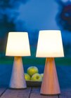 Solar-Tischleuchte Scandi für 11,99 € bei Netto mit dem Scottie im Angebot Solar-Tischleuchte Scandi im aktuellen Netto mit dem Scottie Prospekt