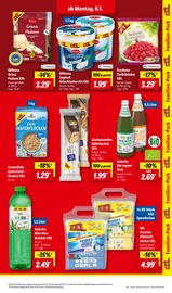 Aktueller Lidl Prospekt mit Aloe Vera, "LIDL LOHNT SICH", Seite 21