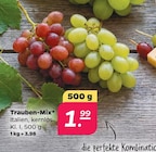 Trauben-Mix bei Netto mit dem Scottie im Rostock Prospekt für 1,99 €