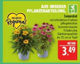 Sonnenhut im Angebot bei Marktkauf in Schweinfurt Sonnenhut Angebote bei Marktkauf Schweinfurt für 3,49 €
