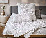 Sommerbett im Angebot bei XXXLutz in Neubrandenburg Sommerbett Angebote von Sleeptex bei XXXLutz Neubrandenburg für 19,99 €