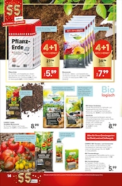 Blumenerde Angebote im Prospekt "Entscheiden Sie selbst" von Hellweg Blumenerde Angebote im Prospekt "Entscheiden Sie selbst" von Hellweg auf Seite 16