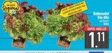 Salat im EDEKA Prospekt Ballensalat Trio-Mix im aktuellen EDEKA Prospekt für 1,11 €