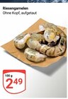 Riesengarnelen Angebote bei GLOBUS Erfurt für 2,49 €