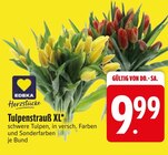 Tulpenstrauß XL von Edeka Herzstücke im aktuellen EDEKA Prospekt für 9,99 €
