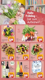 Rotwein im REWE Prospekt in Trier Aktueller REWE Prospekt mit Rotwein, "Dein Markt", Seite 14