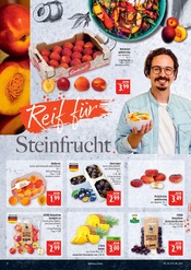 Äpfel im Marktkauf Prospekt in Altenburg Aktueller Marktkauf Prospekt mit Äpfel, "AUSWAHL RIESIG, PREISE NIEDRIG", Seite 12