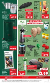 Aktueller Kaufland Prospekt mit Pflanzenerde, "Aktuelle Angebote", Seite 43