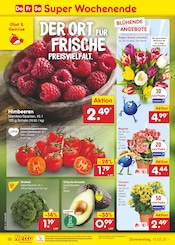 Aktueller Netto Marken-Discount Prospekt mit Tulpen, "Aktuelle Angebote", Seite 46