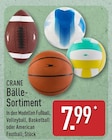Bälle-Sortiment im Angebot bei ALDI Nord in Wolfenbüttel Bälle-Sortiment Angebote von CRANE bei ALDI Nord Wolfenbüttel für 7,99 €