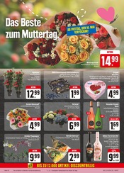 Ähnliche Angebote wie Blumenzwiebeln im Prospekt "Wir lieben Lebensmittel!" auf Seite 20 von E center in Hof