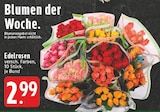 EDEKA Gronau (Westfalen) Prospekt mit  im Angebot für 2,99 €