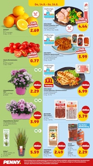 Schweinefilet im Penny Prospekt "Wer günstig will, muss Penny." mit 36 Seiten (Stuttgart)