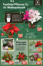 Weihnachtsdeko im REWE Prospekt in Rodgau Aktueller REWE Prospekt mit Weihnachtsdeko, "Dein Markt", Seite 14