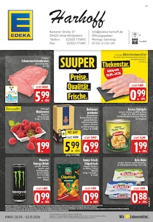 Aktueller EDEKA Prospekt (Kamen) EDEKA Prospekt "Aktuelle Angebote" mit Seiten (Kamen)