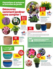 Plante Verte Angebote im Prospekt "LES JOURS TRUFFOH !" von Truffaut auf Seite 2