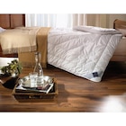SOMMERDECKE Contessa Light 135/200 cm 100 % Kaschmir von Billerbeck für 348,00 € bei XXXLutz Möbelhäuser im Angebot SOMMERDECKE Contessa Light 135/200 cm 100 % Kaschmir von Billerbeck im aktuellen XXXLutz Möbelhäuser Prospekt