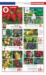 Offre Arbre Fruitier dans le catalogue Super U du moment à la page 11