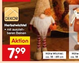 Herbstwichtel von  im aktuellen Netto Marken-Discount Prospekt für 7,99 €