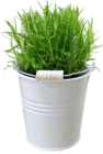 Aktuelle Blumentopf Angebote bei Hornbach in Hamburg Aktuelles Bio-Rosmarin Angebot bei Hornbach in Hamburg ab 2,99 €