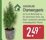 Chamaecyparis von Gardenline im aktuellen ALDI Nord Prospekt für 2,49 €