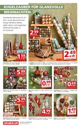 Segmüller Gartendeko im Prospekt 