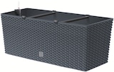 Blumenkasten Rato Case von Prosperplast für 39,99 € bei POCO im Angebot Blumenkasten Rato Case von Prosperplast im aktuellen POCO Prospekt