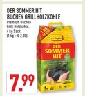 DER SOMMER HIT BUCHEN GRILLHOLZKOHLE im Angebot bei Marktkauf in Düsseldorf DER SOMMER HIT BUCHEN GRILLHOLZKOHLE Angebote von proFagus bei Marktkauf Düsseldorf für 7,99 €