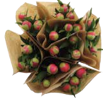 Aktuelle Blumen Angebote bei EDEKA in Lübeck Aktuelles Pfingstrosen Premium oder Stauden Angebot bei EDEKA in Lübeck ab 5,99 €