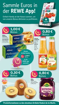 REWE Fürth Prospekt der aktuellen Woche, gültig von 05.05.2025 bis 10.05.2025 Aktueller REWE Fürth Prospekt "Dein Markt" mit 20 Seiten