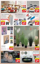 Kunstrasen im Zimmermann Prospekt in Peine Aktueller Zimmermann Prospekt mit Kunstrasen, "Aktuelle Angebote", Seite 4