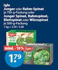 Junger Spinat im V-Markt Prospekt Junger Spinat von Iglo im aktuellen V-Markt Prospekt für 1,79 €