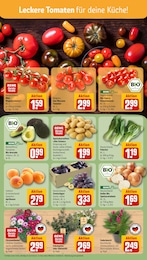 Blumen Angebot & Preis im aktuellen REWE Prospekt Blumen Angebot im aktuellen REWE Prospekt auf Seite 7
