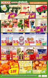 Chocolat Angebote im Prospekt "Votre Discounter Régional" von Norma auf Seite 4