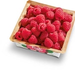 Himbeeren im Angebot bei Netto Marken-Discount in Oberhausen Himbeeren Angebote von Driscoll's bei Netto Marken-Discount Oberhausen für 2,19 €